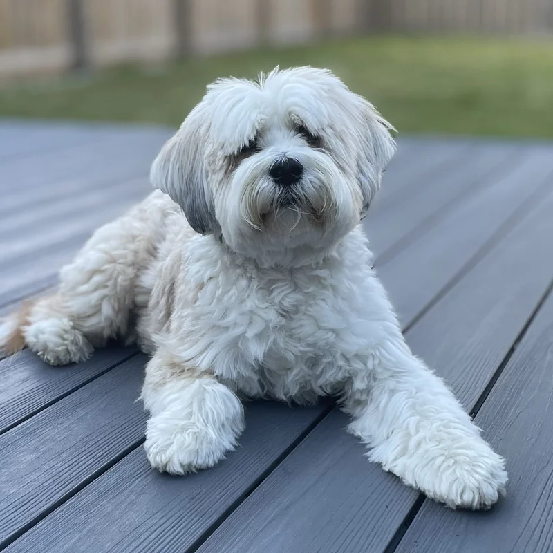 Lottie sitting in the garden