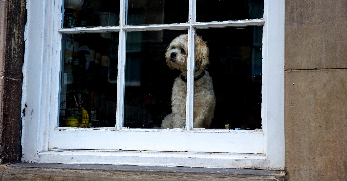 Replacement windows Required 2