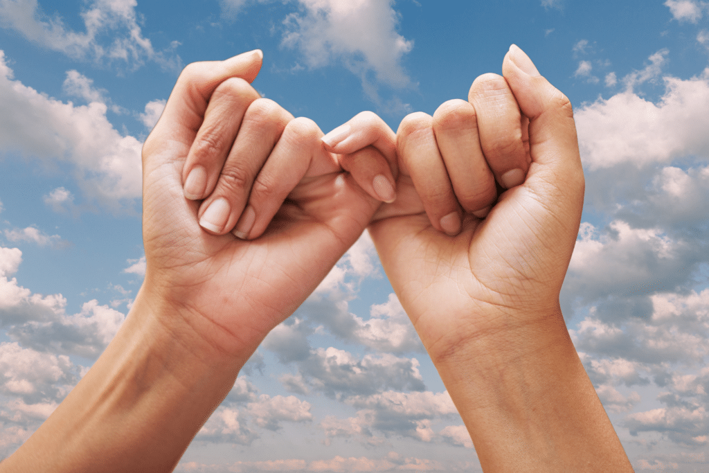 Trustworthy Shutter Company - The Scottish Shutter Company - Terms of Business