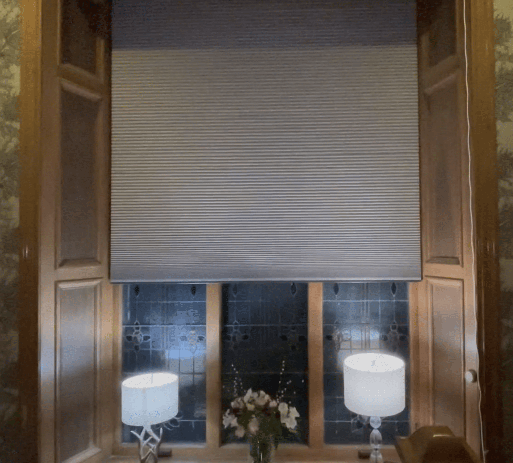 Motorised, Translucent Duette Blind