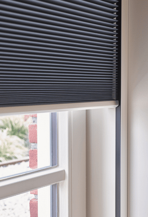 Window blinds