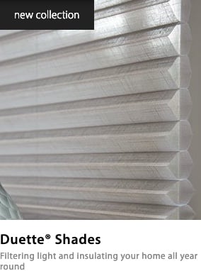 Duette Blind