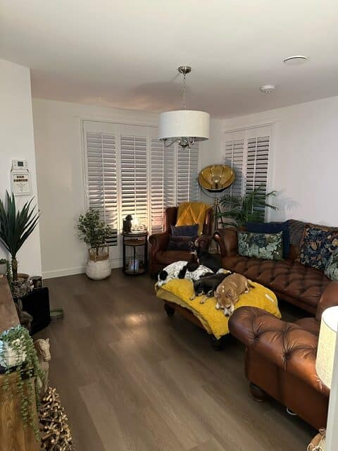 Window Shutters for Laura McFarlane by The Scottish Shutter Company 7