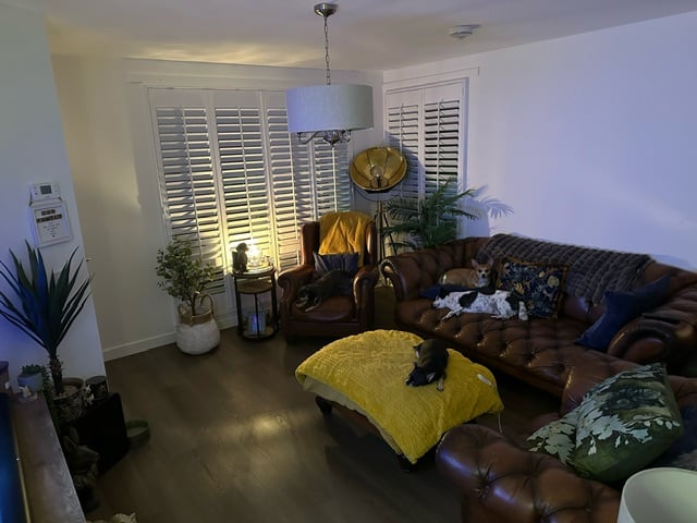 Window Shutters for Laura McFarlane by The Scottish Shutter Company 8