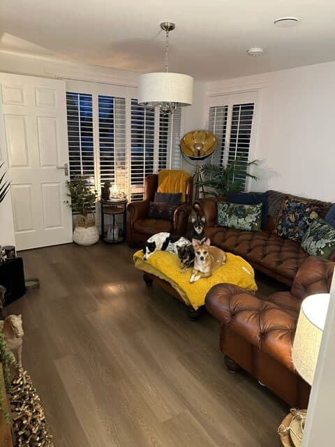 Window Shutters for Laura McFarlane by The Scottish Shutter Company 4