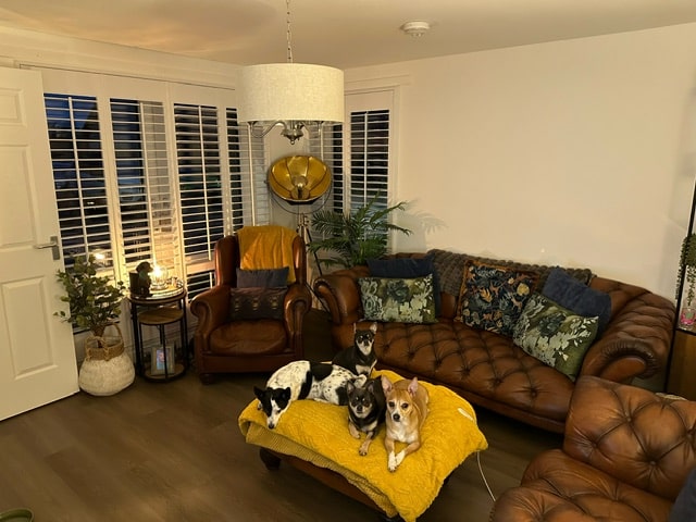 Window Shutters for Laura McFarlane by The Scottish Shutter Company 5