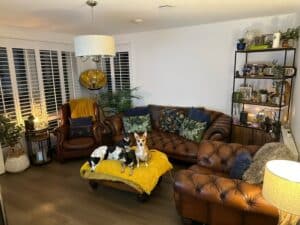 Window Shutters for Laura McFarlane by The Scottish Shutter Company 6