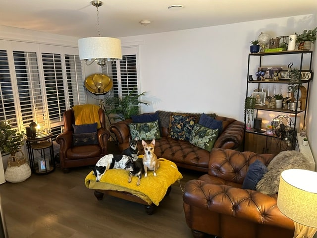 Window Shutters for Laura McFarlane by The Scottish Shutter Company 6